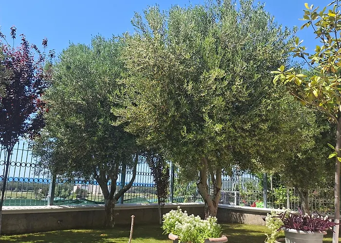 Villa Luiss Panorama