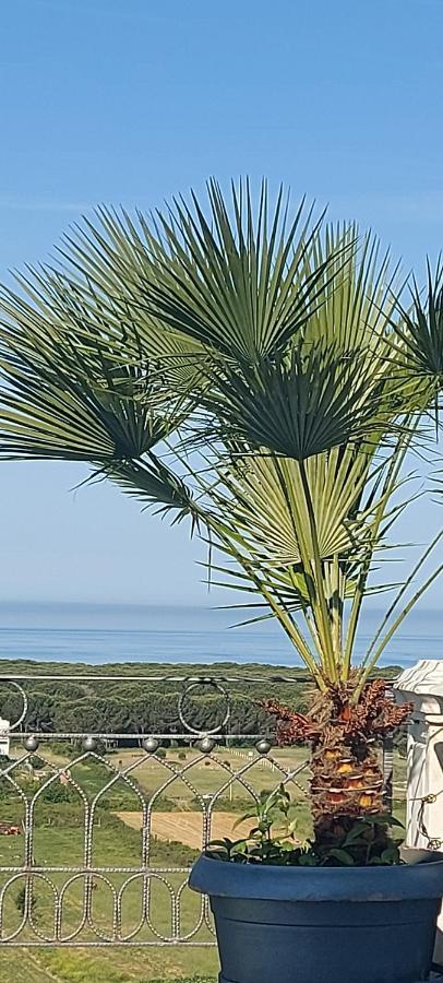 Luiss Panorama Holiday home *