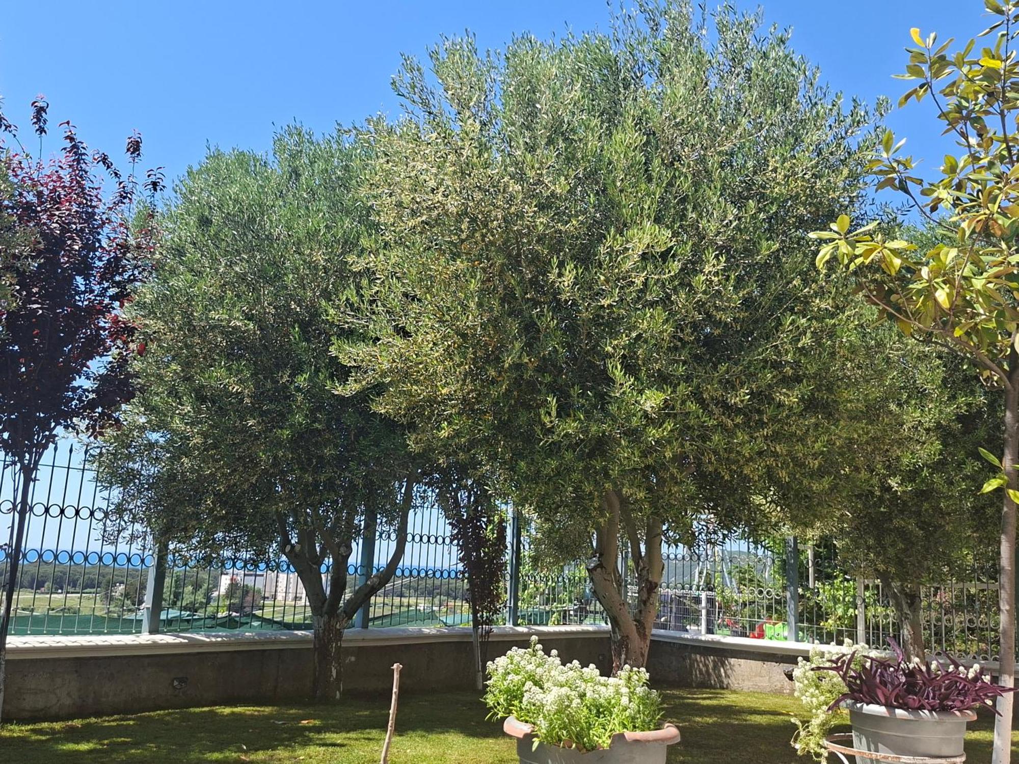 Semesterbostad Luiss Panorama Durrës